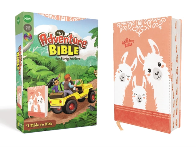 Nirv Adventure Bible For Hb