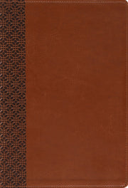 Amplified Holy Bible Larg Hb