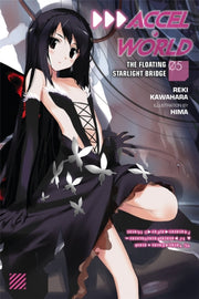Accel World Vol 5 Novel