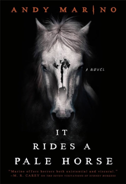 It Rides A Pale Horse