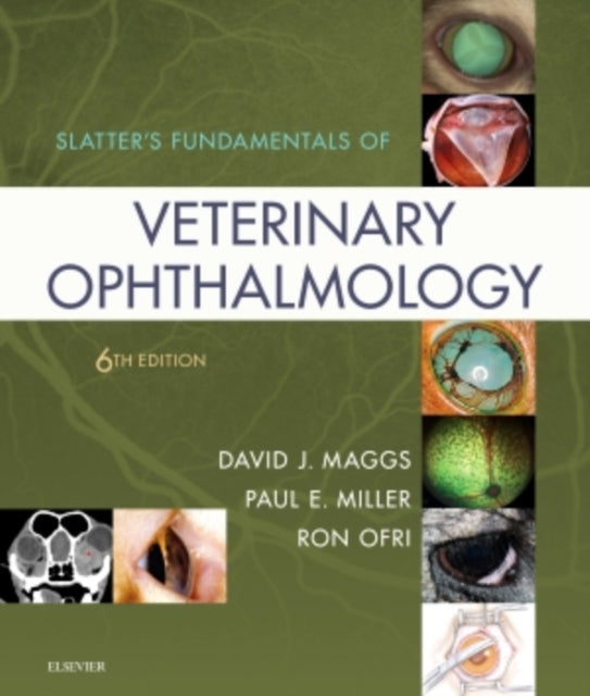Slatters Fundamentals Of Veterinary Opht By Maggs, David