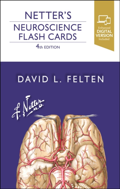 Netters Neuroscience Flash Cards