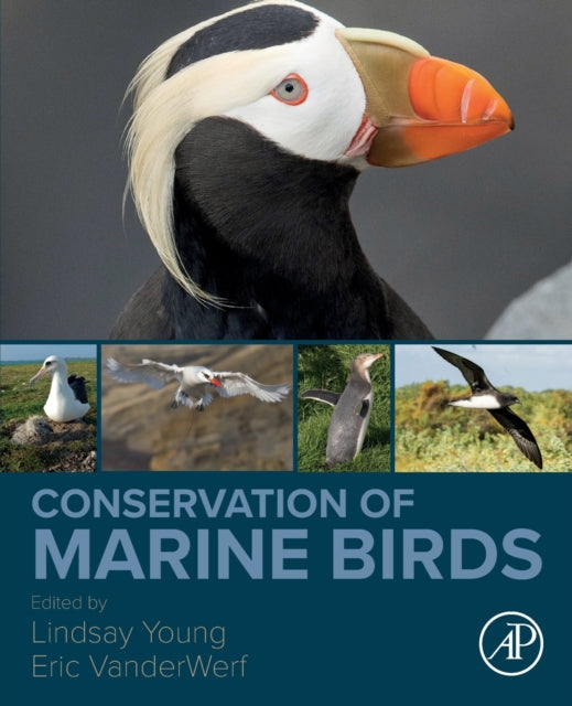 Conservation Of Marine Birds