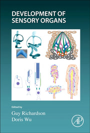 Development Of The Senses164