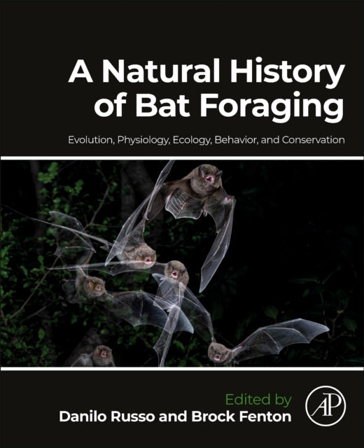 Natural History Of Bat Foraging By Russo, Danilo
