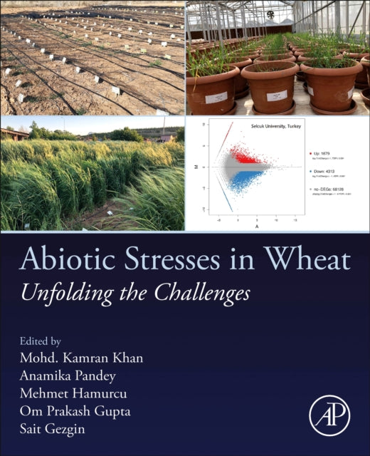 Abiotic Stresses In Wheat