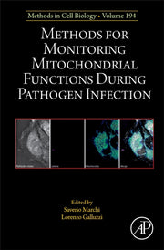 Methods For Monitoring Mitochondrial Fun