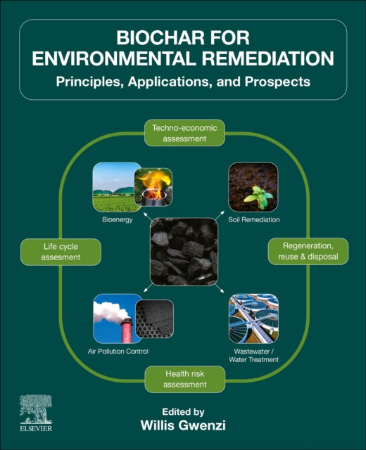 Biochar For Environmental Remediation