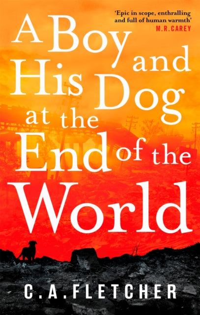 Boy & His Dog At The End Of The World By Fletcher, C A