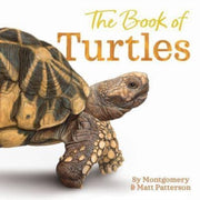 Book Of Turtles Hb