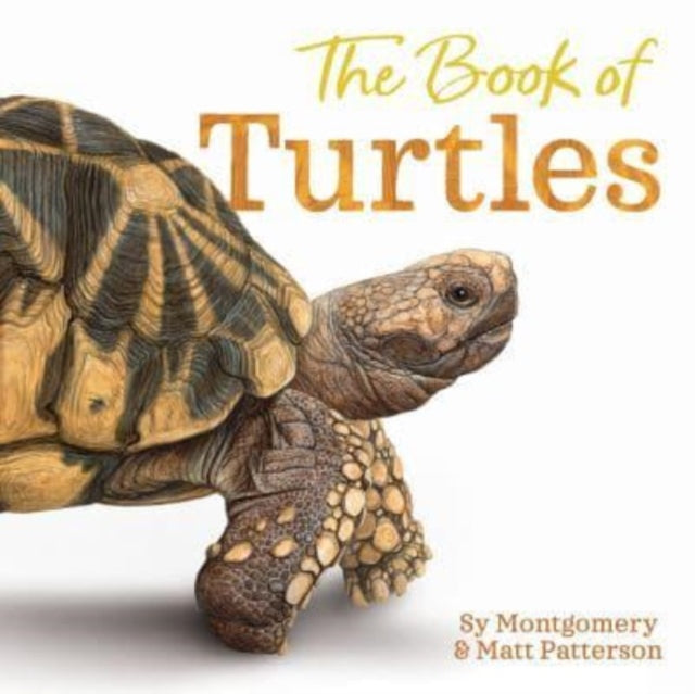 Book Of Turtles Hb