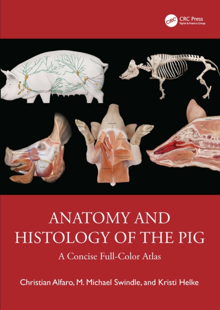 Anatomy And Histology Of The Pig By Alfaro  Christian