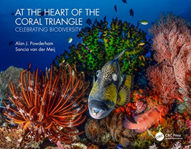 At The Heart Of The Coral Triangle By Powderham, Alan J