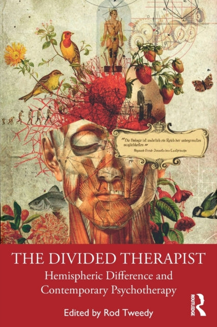 Divided Therapist