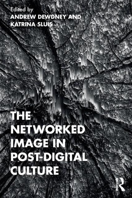 Dewdney - The Networked Image In Po