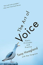 Art Of Voice