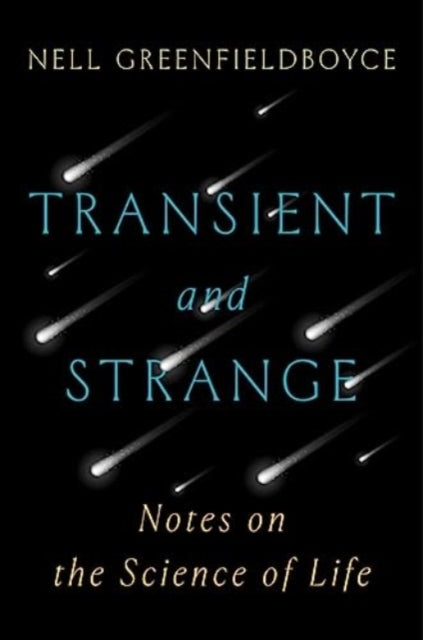Transient & Strange