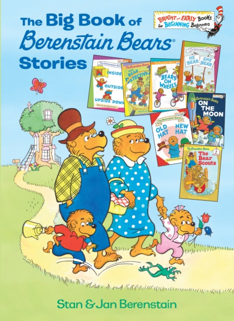 Big Book Of Berenstain Bears St