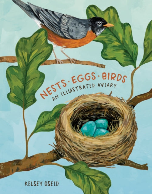 Nests Eggs Birds