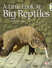 Look At Reptiles Blue B Nf 6pack