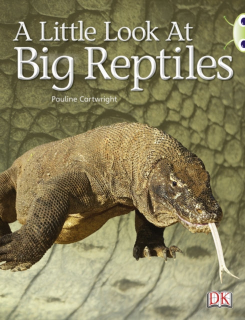 Look At Reptiles Blue B Nf 6pack