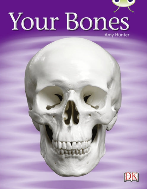 Your Bones 6pack