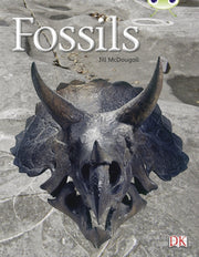 Fossils Gold A 6packfossils 6pack