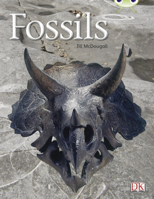 Fossils Gold A 6packfossils 6pack