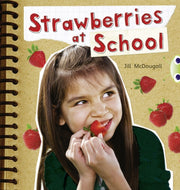 Strawberries At School Orange A Nf 6pack