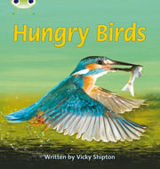 Phonics Bug Birds Phase 5 Non Fiction