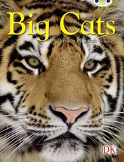 Bc Nf Brown B3b Big Cats