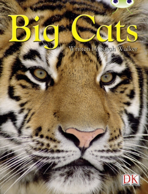 Bc Nf Brown B3b Big Cats