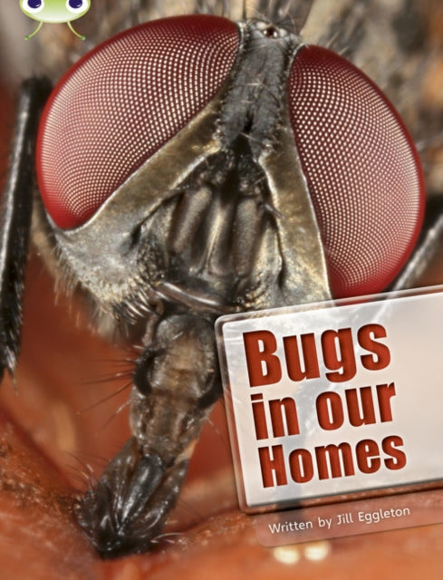 Bug Club Non Fiction Bugs In Our Homes