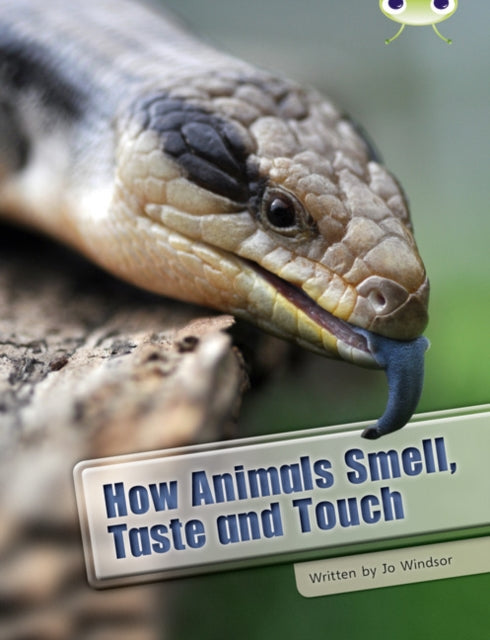 Bug Club Non Fiction How Animals Smell