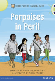 Bug Club Grey A Porpoises In Peril