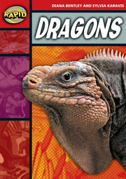 Rapid Stage 2 Set B Dragons Series 1