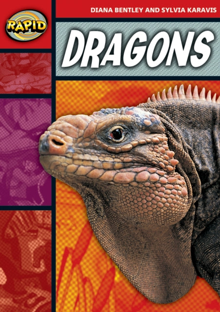 Rapid Stage 2 Set B Dragons Series 1