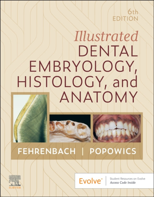 Illustrated Dental Embryology Histology By Fehrenbach, Margaret