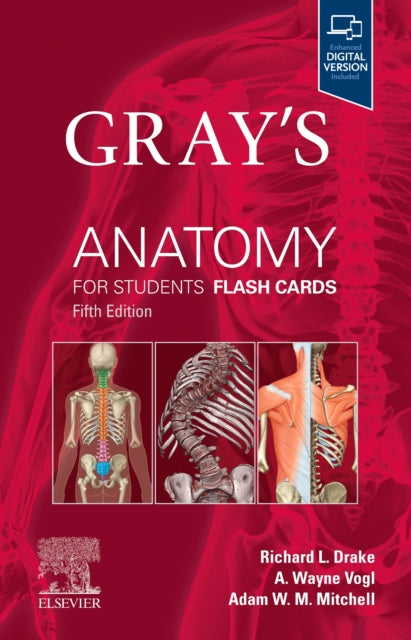 Grays Anatomy For Students Flash Cards