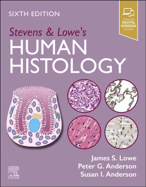 Stevens Lowes Human Histology
