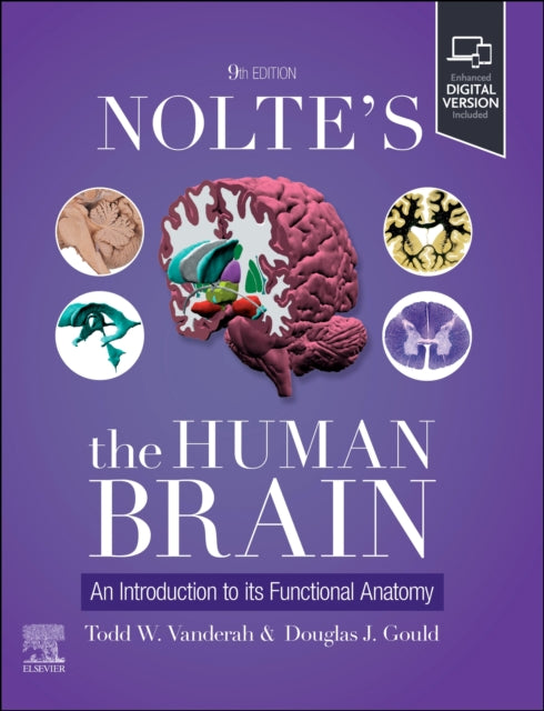 Noltes The Human Brain