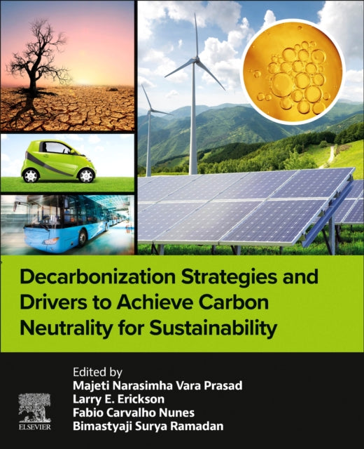 Decarbonization Strategies And Drivers T