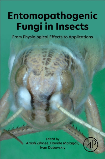 Entomopathogenic Fungi In Insects