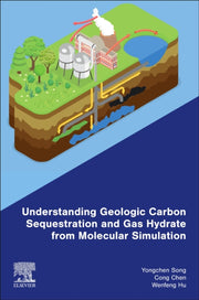 Understanding Geologic Carbon Sequestrat