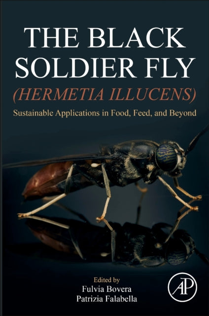 Black Soldier Fly Hermetia Illucens
