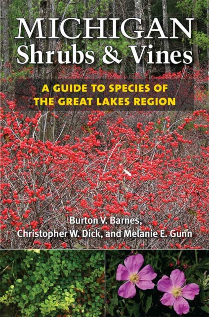 Michigan Shrubs And Vines