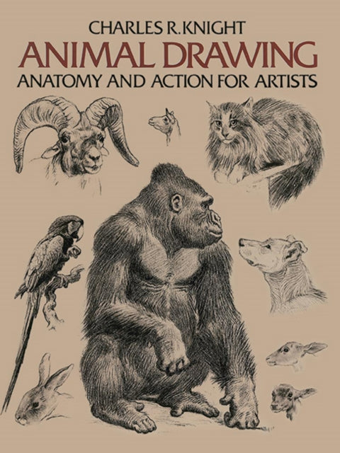 Animal Drawing By Knight,charles R.