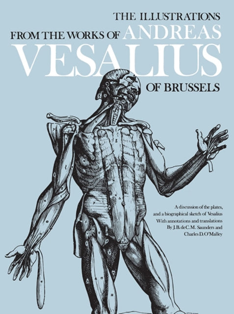 Illustrations Of Andreas Vesalius
