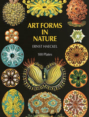 Art Forms In Nature