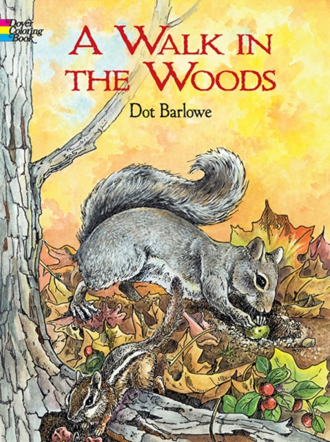 Walk In The Woods Coloring Book
